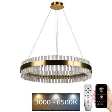 LED Himmennettävä kristalli kattokruunu johdossa LED/55W/230V 3000-6500K + kauko-ohjaus