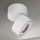 LED Himmennettävä kylpyhuone kohdevalo HARVEY LED/15W/230V IP65 valkoinen