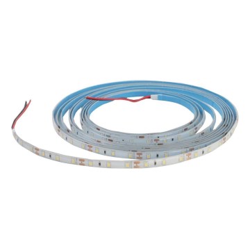 LED himmennettävä kylpyhuoneen nauha DAISY 5m kylmä valkoinen IP65