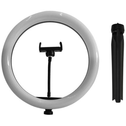 LED Himmennettävä lamppu jalustalla ja pidikkeellä vloggaamiseen LED/10W/5V 3200-5500K