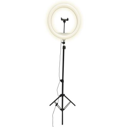 LED Himmennettävä lamppu jalustalla ja pidikkeellä vloggaamiseen LED/15W/5V 2700-6500K