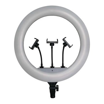 LED Himmennettävä lamppu telineen kanssa ja pidike vloggaamiseen LED/55W/230V CRI 90 + kauko-ohjaus