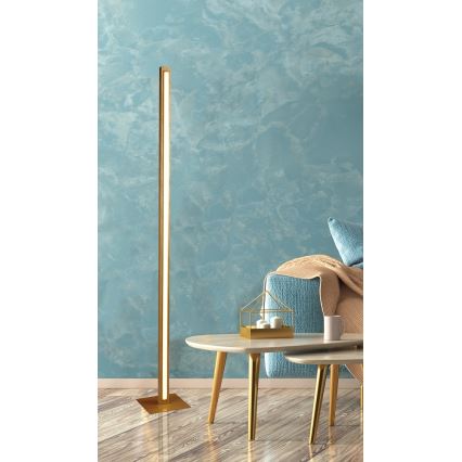LED himmennettävä kosketusjalustavalaisin RODNEY LED/35W/230V koivu