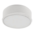 LED Himmennettävä moduuli LED/12W/230V 3000K - Eglo 78778