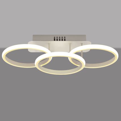 LED Himmennettävä pinta-asennettava kattokruunu BARI LED / 30W / 230V valkoinen