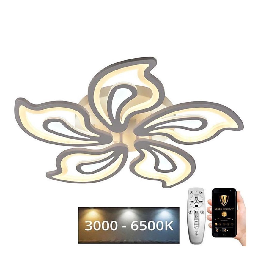 LED Himmennettävä pinta-asennettava kattokruunu LED/125W/230V 3000-6500K + kaukosäädin