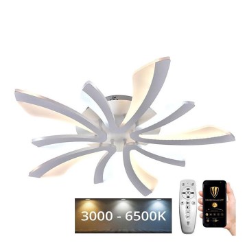 LED Himmennettävä pinta-asennettava kattokruunu LED/55W/230V 3000-6500K + kaukosäädin