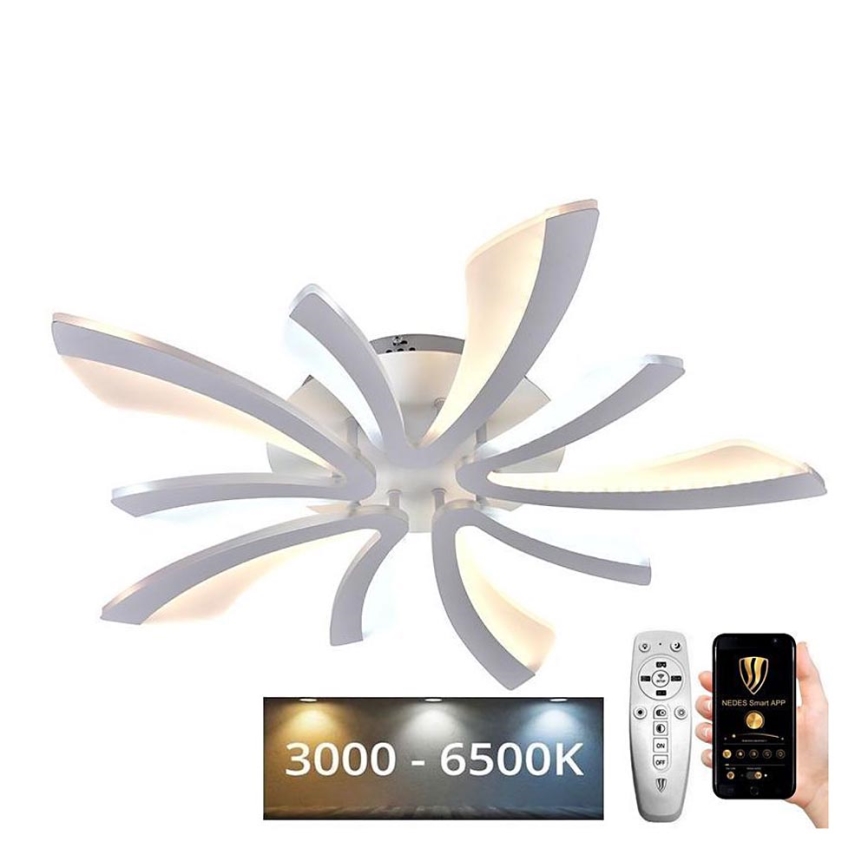 LED Himmennettävä pinta-asennettava kattokruunu LED/55W/230V 3000-6500K + kaukosäädin