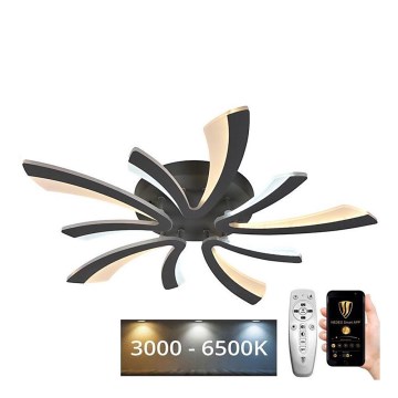 LED Himmennettävä pinta-asennettava kattokruunu LED/55W/230V 3000-6500K + kaukosäädin