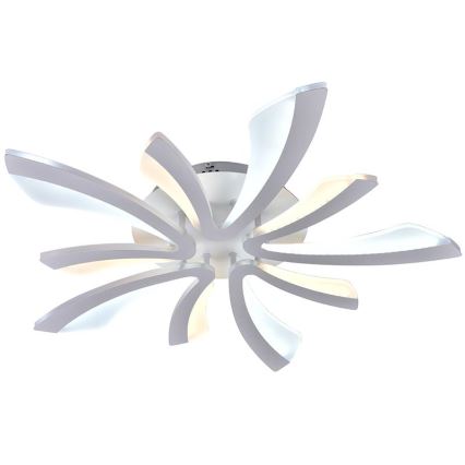 LED Himmennettävä pinta-asennettava kattokruunu LED/55W/230V 3000-6500K + kaukosäädin