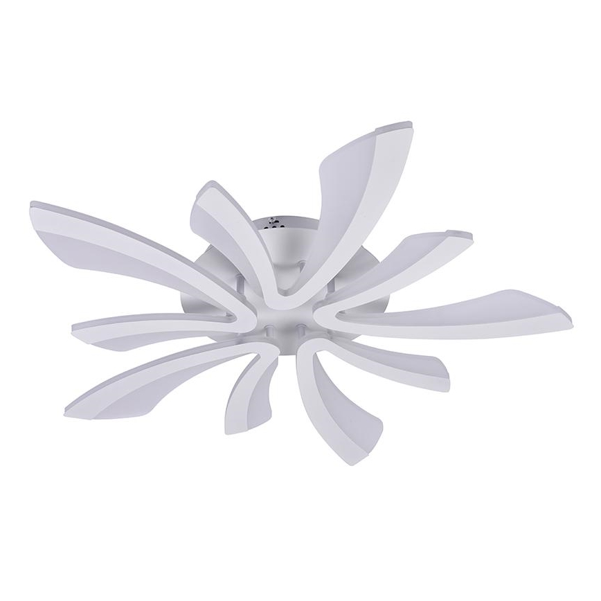 LED Himmennettävä pinta-asennettava kattokruunu LED/55W/230V 3000-6500K + kaukosäädin