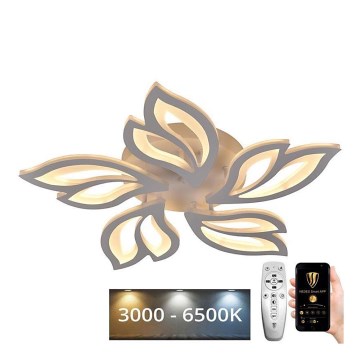 LED Himmennettävä pinta-asennettava kattokruunu LED/65W/230V 3000-6500K + kaukosäädin