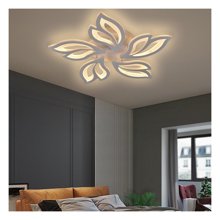LED Himmennettävä pinta-asennettava kattokruunu LED/65W/230V 3000-6500K + kaukosäädin
