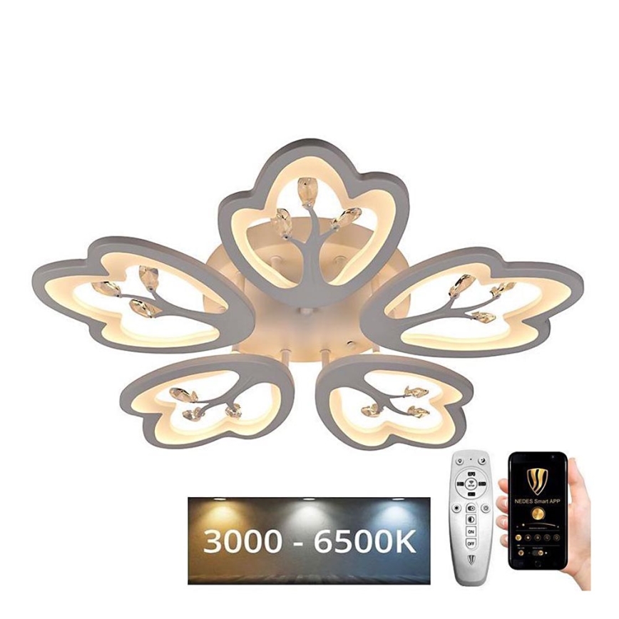 LED-himmennettävä pinta-asennettava kattokruunu LED/80W/230V 3000-6500K + kaukosäädin