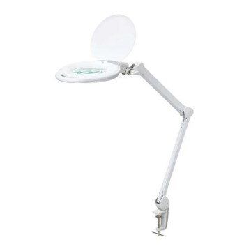 LED Himmennettävä pöytävalaisin suurennuslasilla LED/10W/230V valkoinen