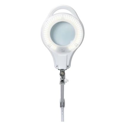 LED Himmennettävä pöytävalaisin suurennuslasilla LED/10W/230V valkoinen