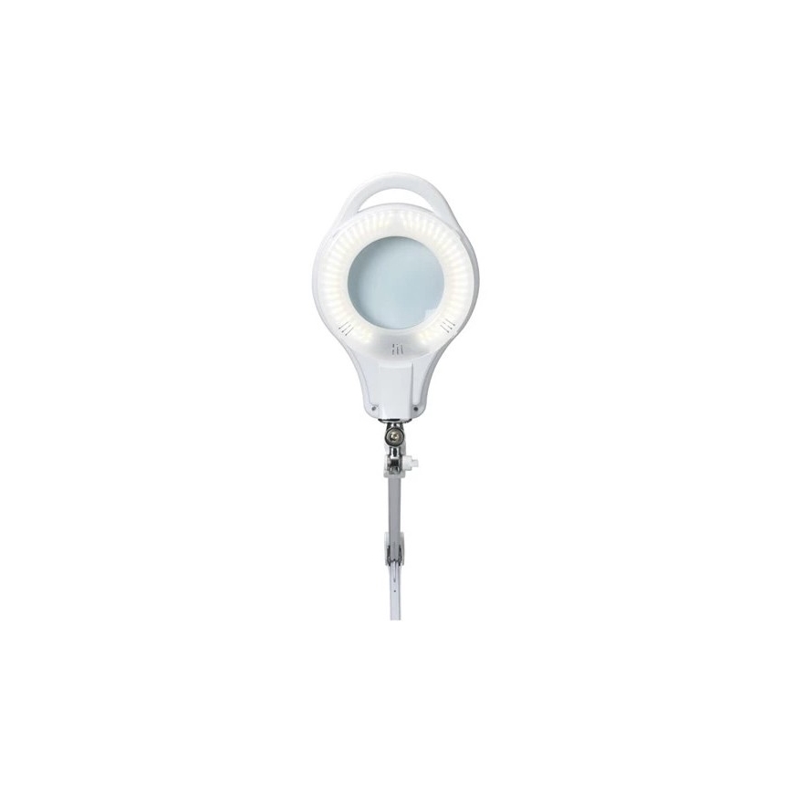 LED Himmennettävä pöytävalaisin suurennuslasilla LED/10W/230V valkoinen