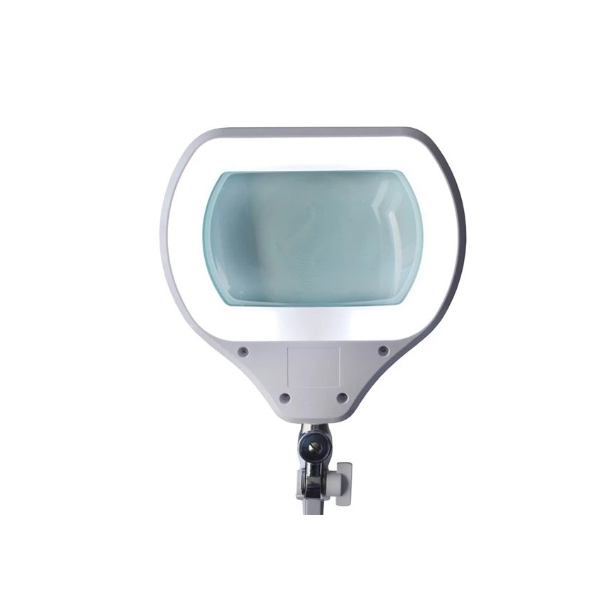 LED Himmennettävä pöytävalaisin suurennuslasilla LED/12W/230V valkoinen