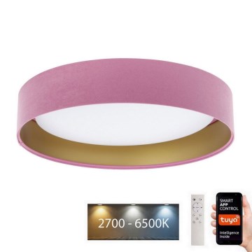 LED Himmennettävä valo SMART GALAXY LED/24W/230V halk. 45 cm Wi-Fi Tuya + kaukosäädin