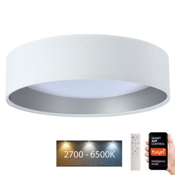 LED Himmennettävä valo SMART GALAXY LED/36W/230V halk. 55 cm Wi-Fi Tuya + kaukosäädin