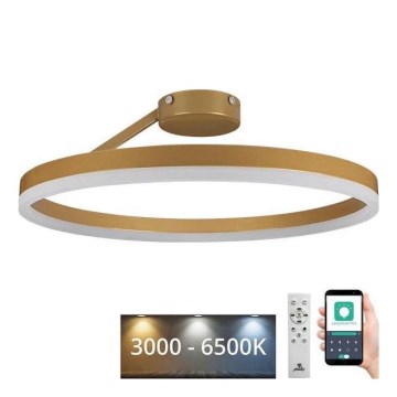 LED-himmennyskattokruunu LED/40W/230V 3000-6500K kulta + kauko-ohjaus