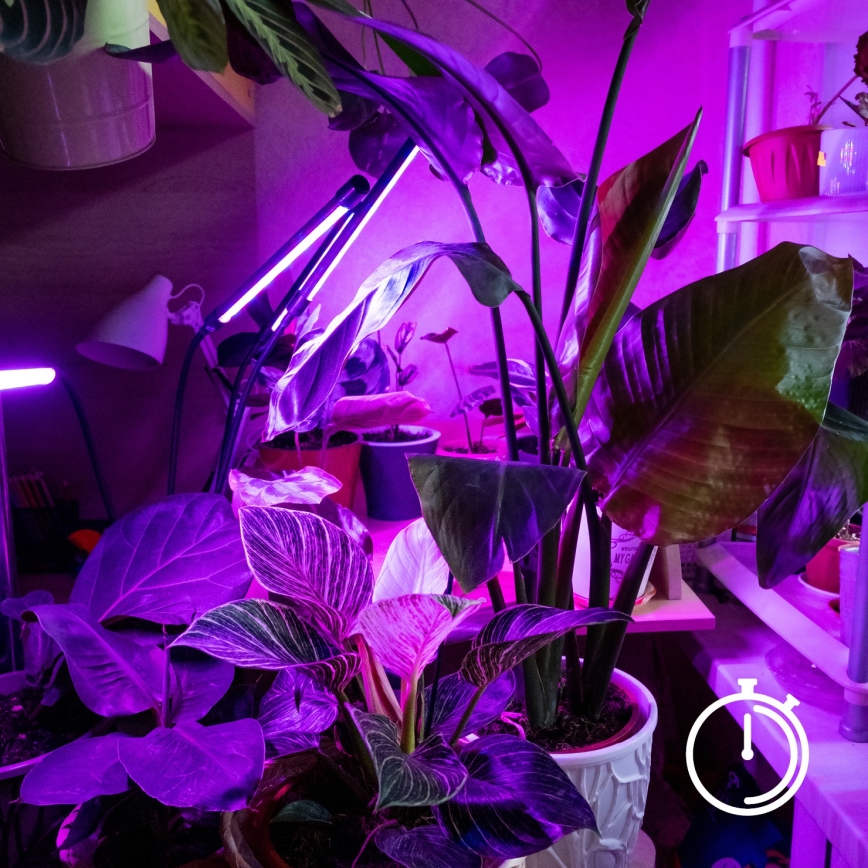 LED Himmennettävä flexible pöytävalaisin klipsillä kasvien kasvattamiseen VITARO 3xLED/10W/230V musta