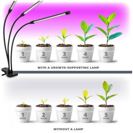 LED Himmennettävä flexible pöytävalaisin klipsillä kasvien kasvattamiseen VITARO 3xLED/10W/230V musta