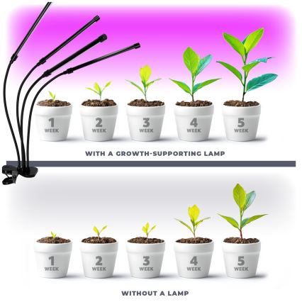 LED Himmennettävä flexible pöytävalaisin klipsillä kasvien kasvattamiseen VITARO 4xLED/10W/230V musta