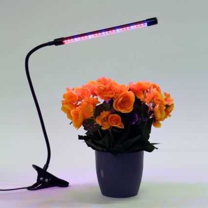 LED-himmennyslamppu pidikkeellä kasvien valaisemiseen LED/3W/230V musta