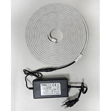 LED Joustava nauha NEON LED/10W/230V 5 m IP65 valkoinen