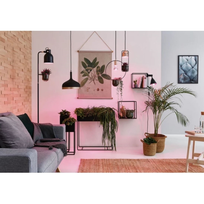 LED Kasvipolttimo GROW VIHREÄ R50 E14/4W/230V - Paulmann 28734