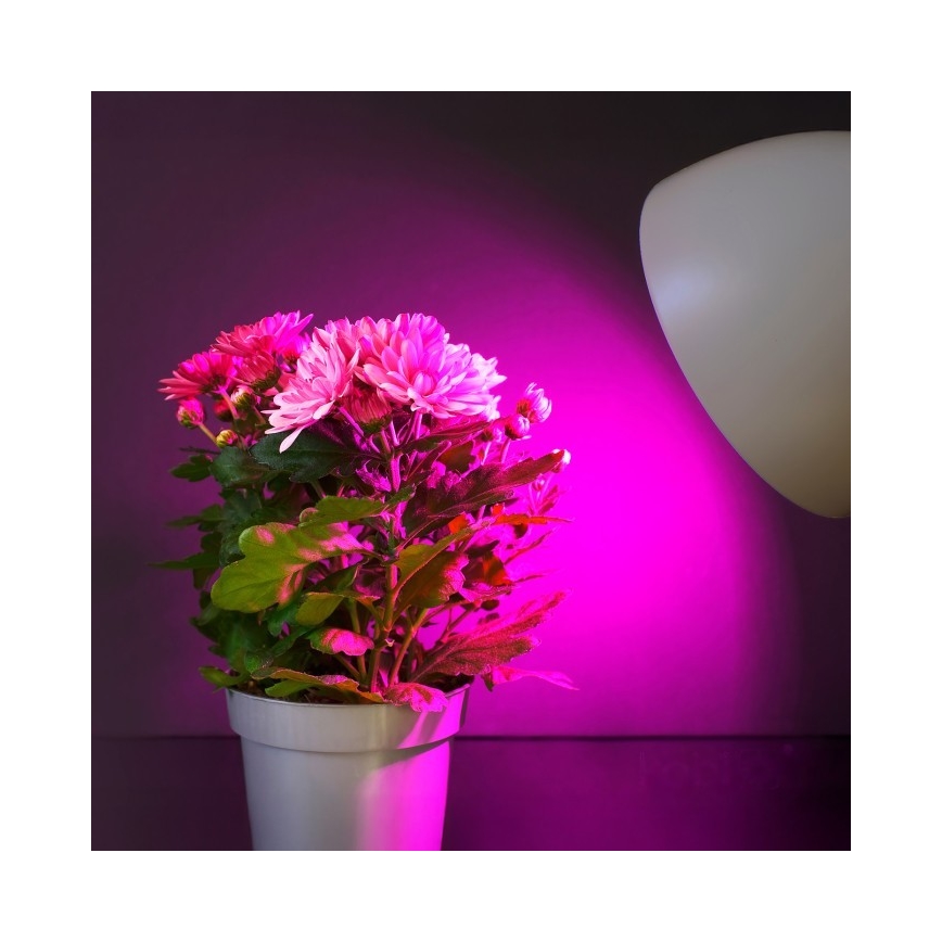 LED Kasvipolttimo PLANTY E27/11W/230V 1200K valkoinen