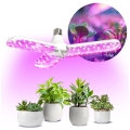 LED Kasvipolttimo PLANTY E27/24W/230V 1200K