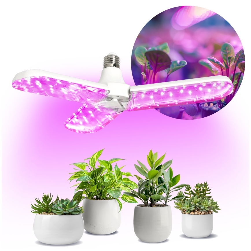 LED Kasvipolttimo PLANTY E27/24W/230V 1200K