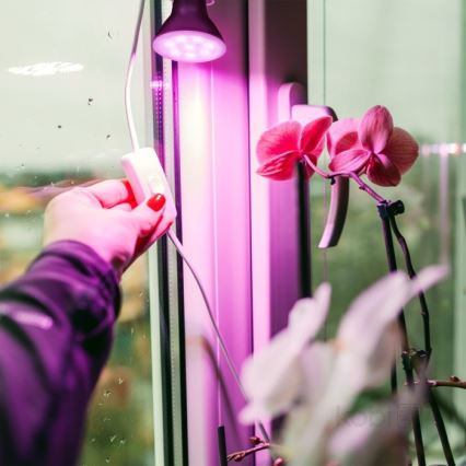 LED Kasvipolttimo PLANTY E27/7W/230V 1200K musta