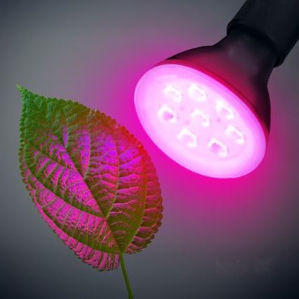 LED Kasvipolttimo PLANTY E27/7W/230V 1200K musta