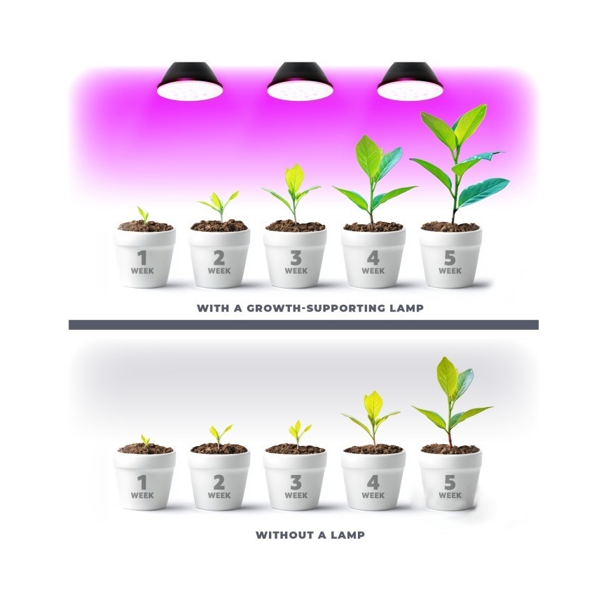 LED Kasvipolttimo PLANTY E27/7W/230V 1200K musta