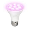 LED Kasvipolttimo PLANTY E27/7W/230V 1200K valkoinen
