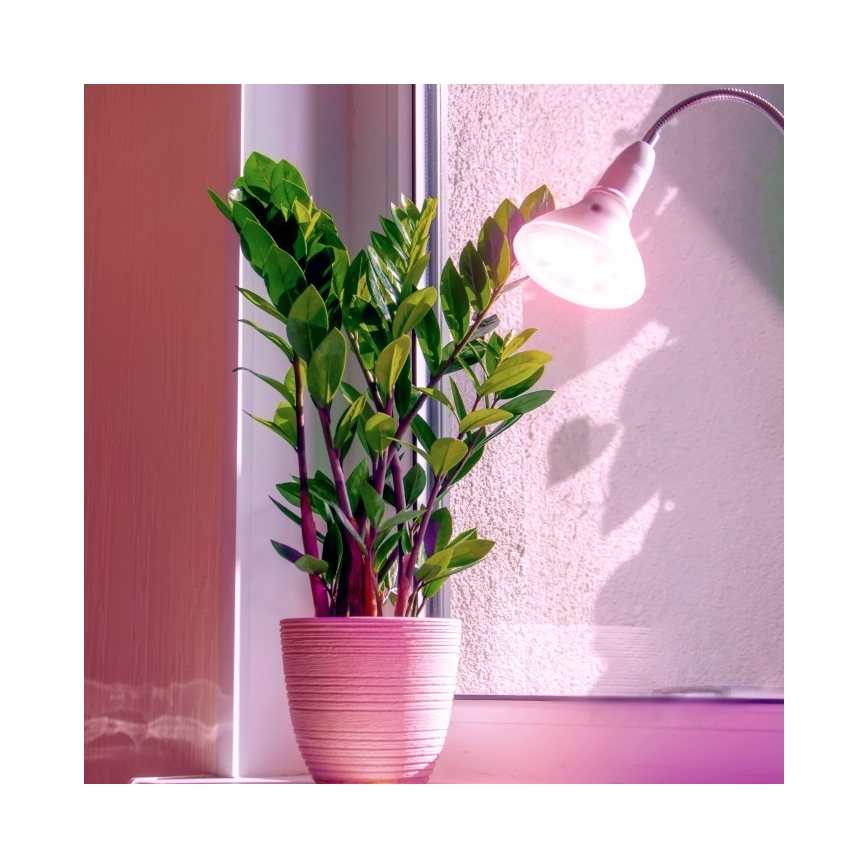 LED Kasvipolttimo PLANTY E27/7W/230V 1200K valkoinen