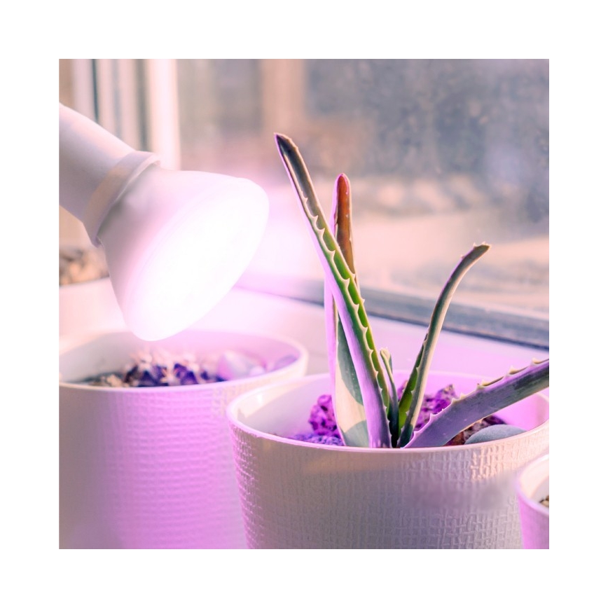 LED Kasvipolttimo PLANTY E27/7W/230V 1200K valkoinen