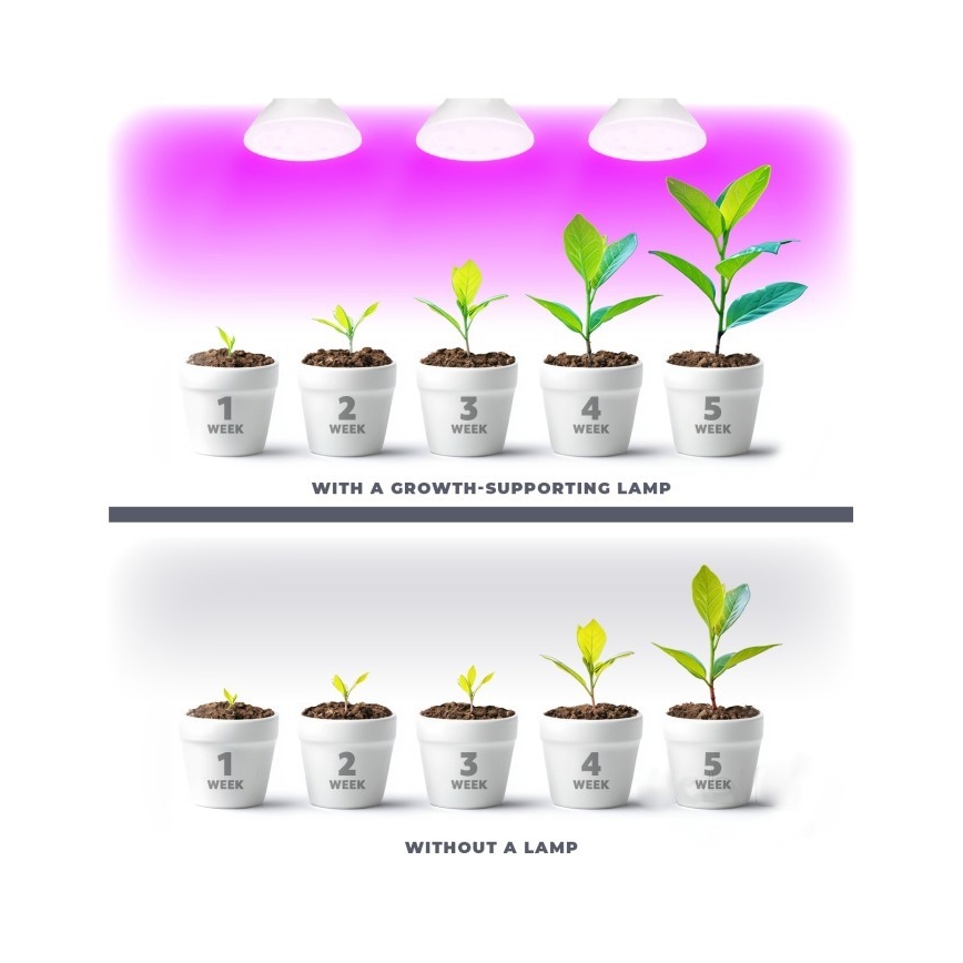 LED Kasvipolttimo PLANTY E27/7W/230V 1200K valkoinen
