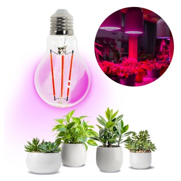 LED Kasvipolttimo PLANTY E27/8W/230V 1200K