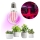 LED Kasvipolttimo PLANTY E27/8W/230V 1200K
