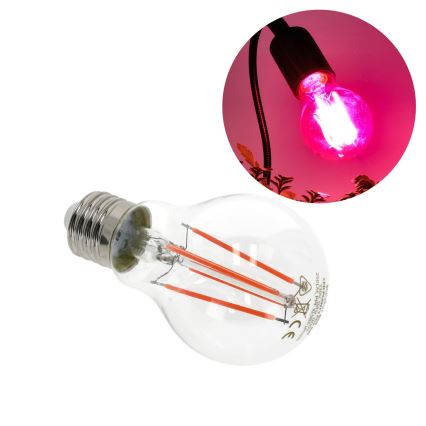 LED Kasvipolttimo PLANTY E27/8W/230V 1200K