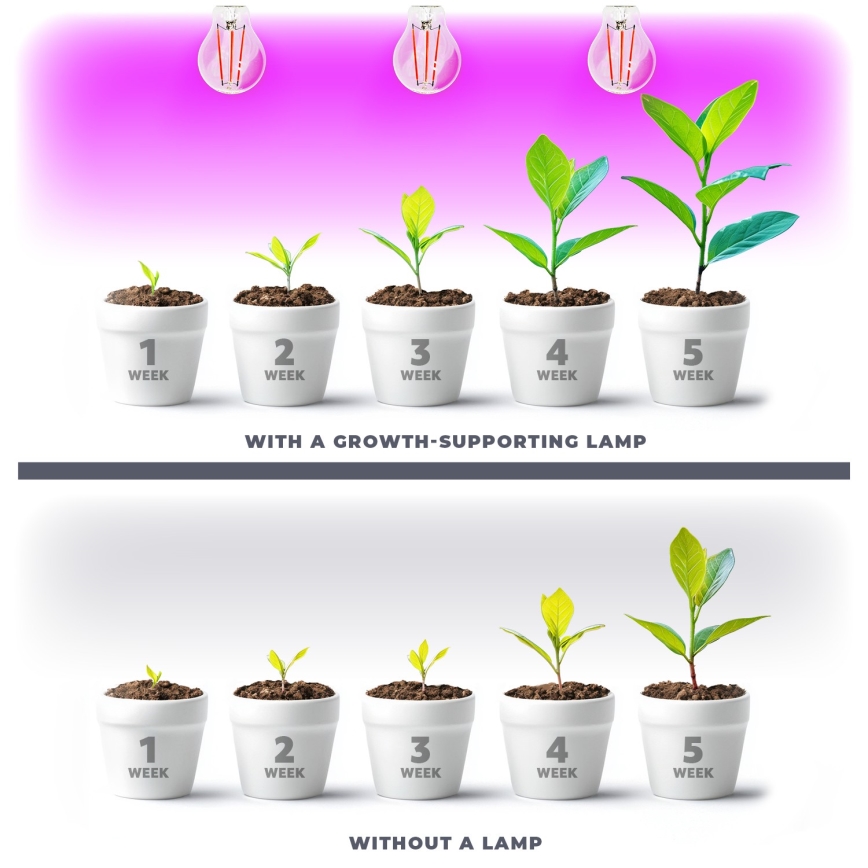 LED Kasvipolttimo PLANTY E27/8W/230V 1200K