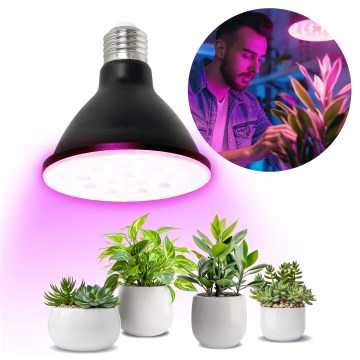LED Kasvipolttimo PLANTY E27/9W/230V 1200K musta