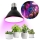 LED Kasvipolttimo PLANTY E27/9W/230V 1200K musta