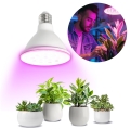 LED Kasvipolttimo PLANTY E27/9W/230V 1200K valkoinen