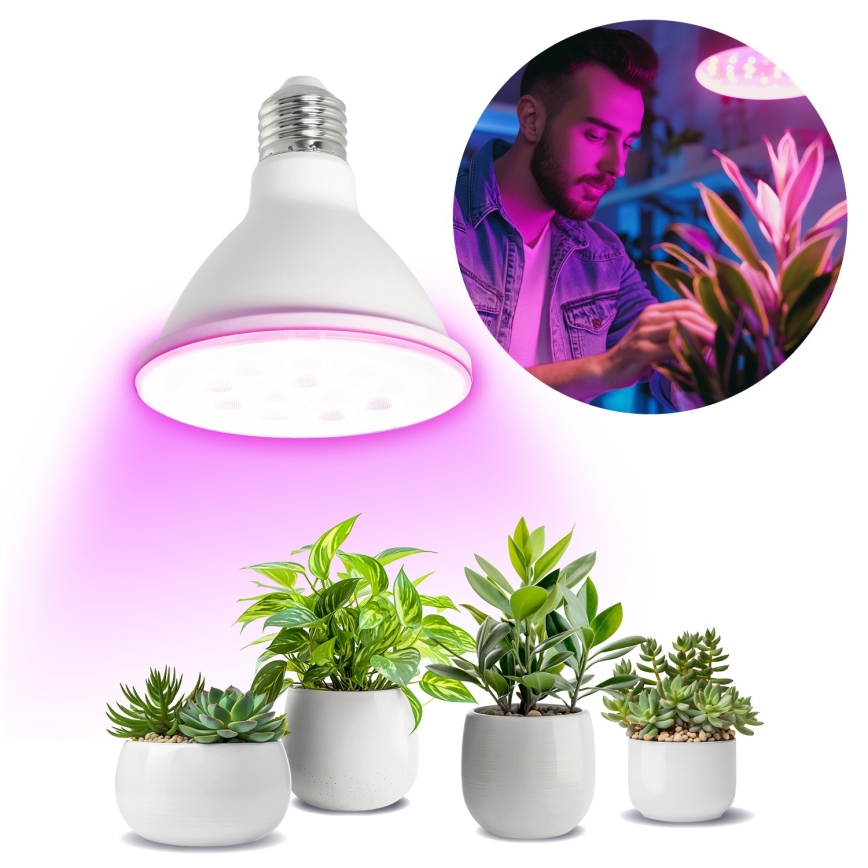 LED Kasvipolttimo PLANTY E27/9W/230V 1200K valkoinen