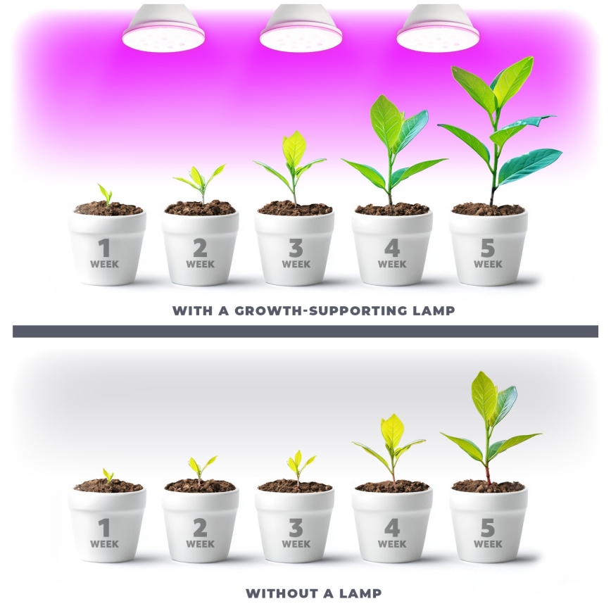 LED Kasvipolttimo PLANTY E27/9W/230V 1200K valkoinen